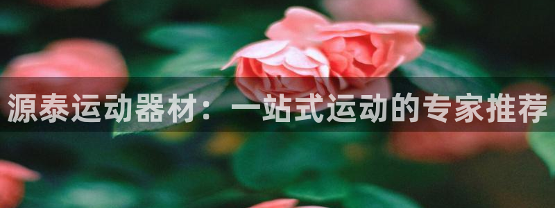 zoty中欧体育官网下载招商电话地址查询：源泰运动器材：一站