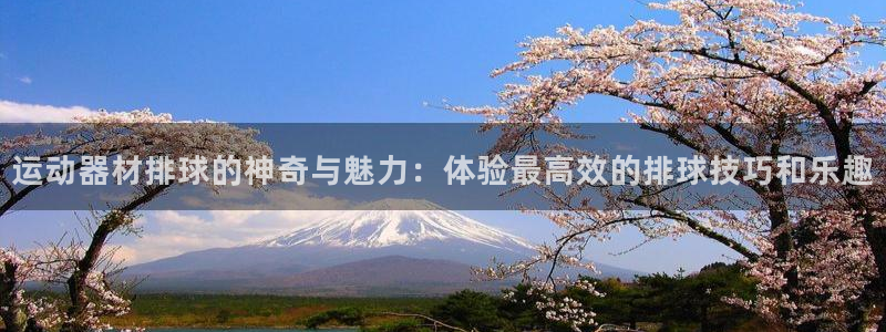 zoty中欧体育官网下载招商：运动器材排球的神奇与魅