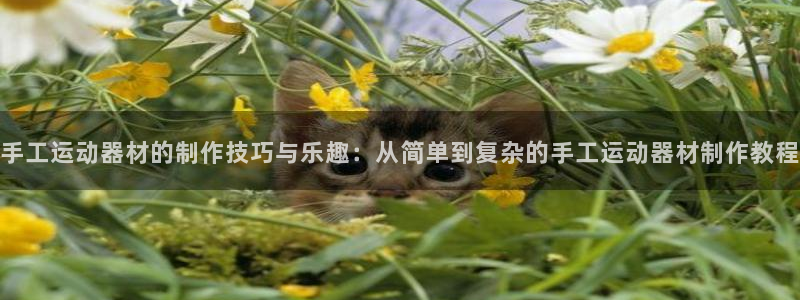 zoty中欧体育官网下载招商：手工运动器材的制作技巧与乐趣：