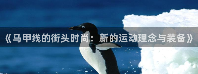 zoty中欧体育官网下载注册：《马甲线的街头时尚：新的运动理