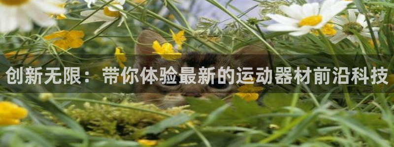 zoty中欧体育官网下载