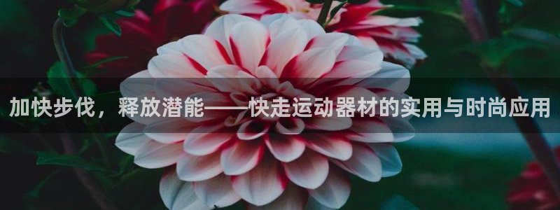 zoty中欧体育官方正版app五金厂：加快步伐，释放潜能——