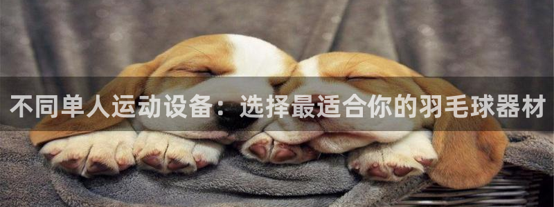 zoty中欧体育官网下载招商电话是多少号码:不同单人运动设备