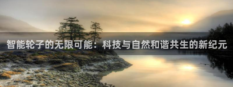 zoty中欧体育官方正版app娱乐是那个系列的台子：智能轮子