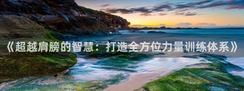 zoty中欧体育官网下载注册：《超越肩膀的智慧：打造全方位力