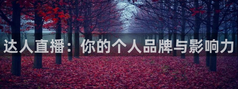 柠檬足球免费直播：达人直播：你的个人品牌与影响力
