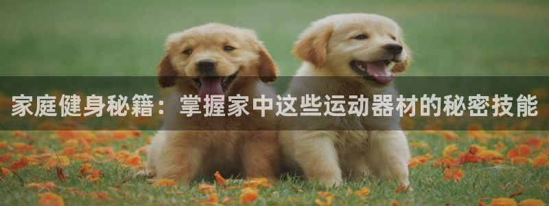 zoty中欧体育官方正版app集团:家庭健身秘籍:掌握家中这